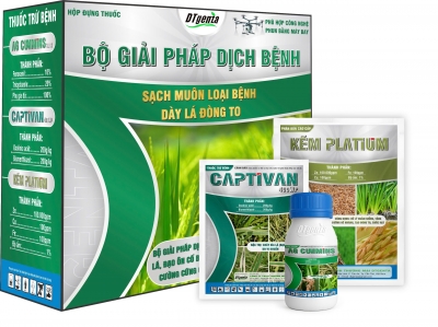 BỘ GIẢI PHÁP DỊCH BỆNH