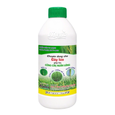 Cứng cây ngắn lóng 500ml